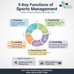 functions of sports management