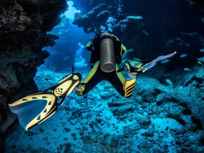 A Deep Dive into Sports Management Degrees and Courses Offered by ISST Pune